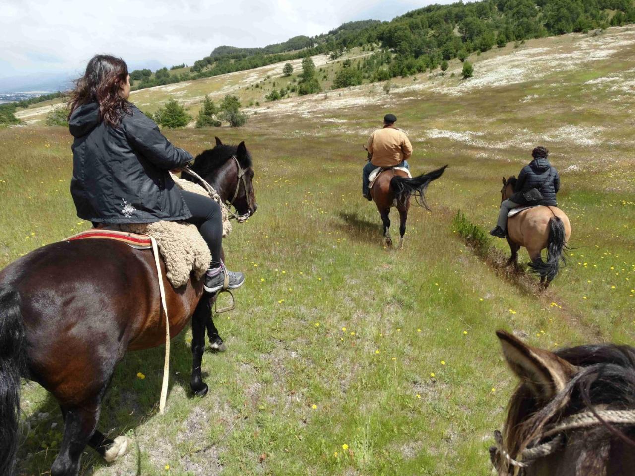 Glamping Patagonia Nativa Rural Hotel Coyhaique Ngoại thất bức ảnh