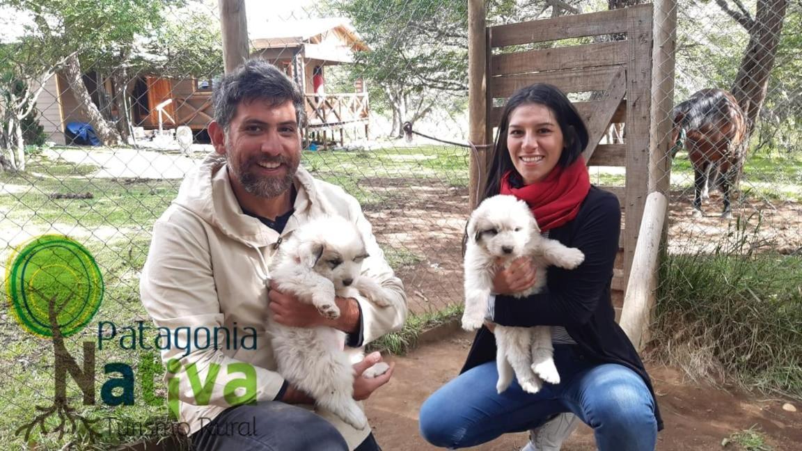 Glamping Patagonia Nativa Rural Hotel Coyhaique Ngoại thất bức ảnh